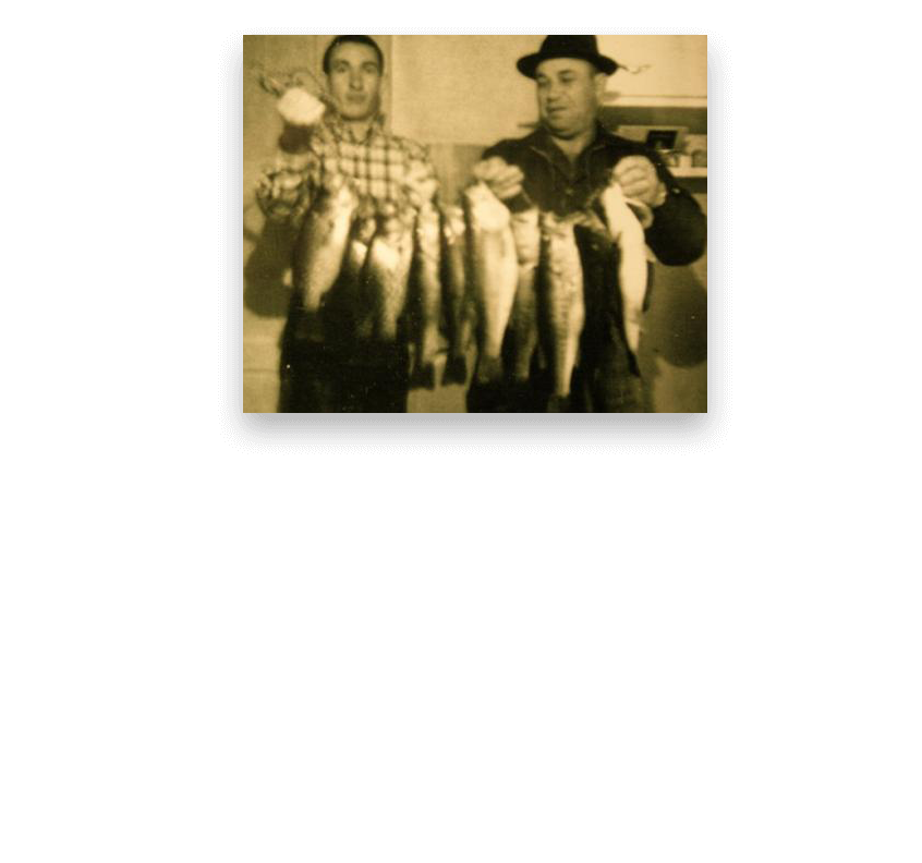 Heartland Catfish Company Our Story and Values