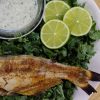 whole grilled catfish with seasoning and sauce on a bed of greens