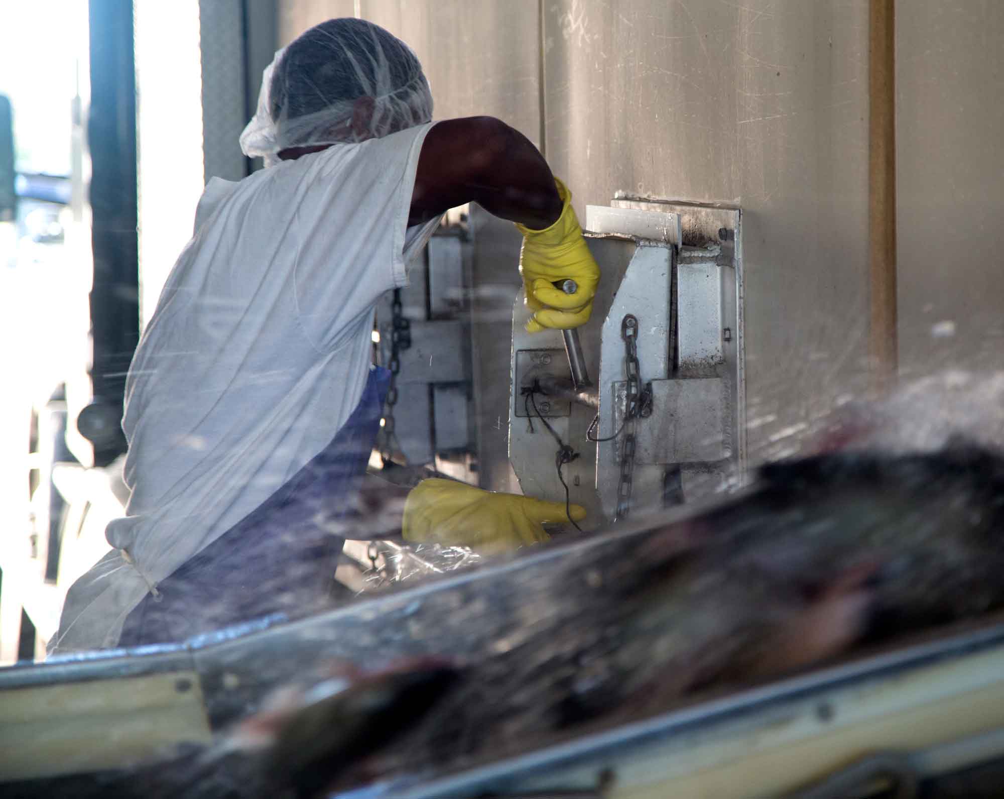 Heartland Catfish Company Our Story and Values