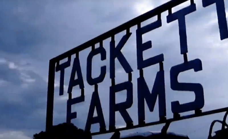 Tackett Farms Sign