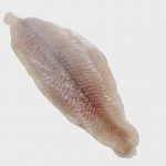 raw Catfish Fillet