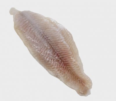 raw Catfish Fillet