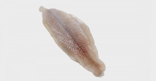 raw Catfish Fillet