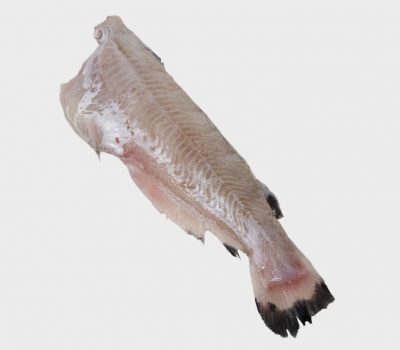 raw whole catfish