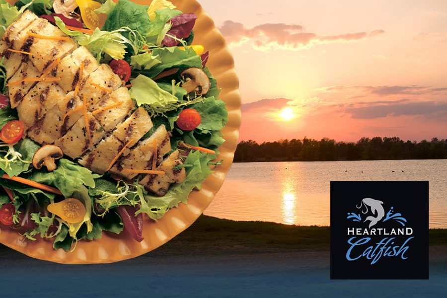 Why Catfish is the Perfect Protein for Your Light Summer Meals