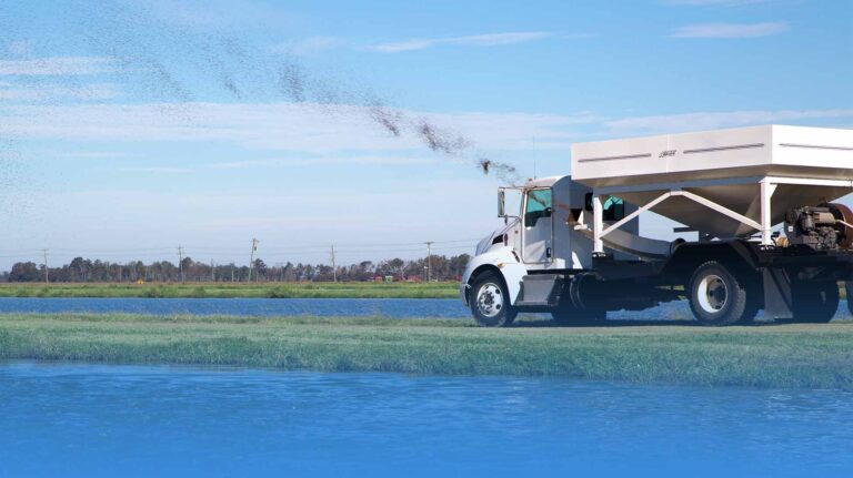 Truck driving by catfish ponds feeding the catfish.