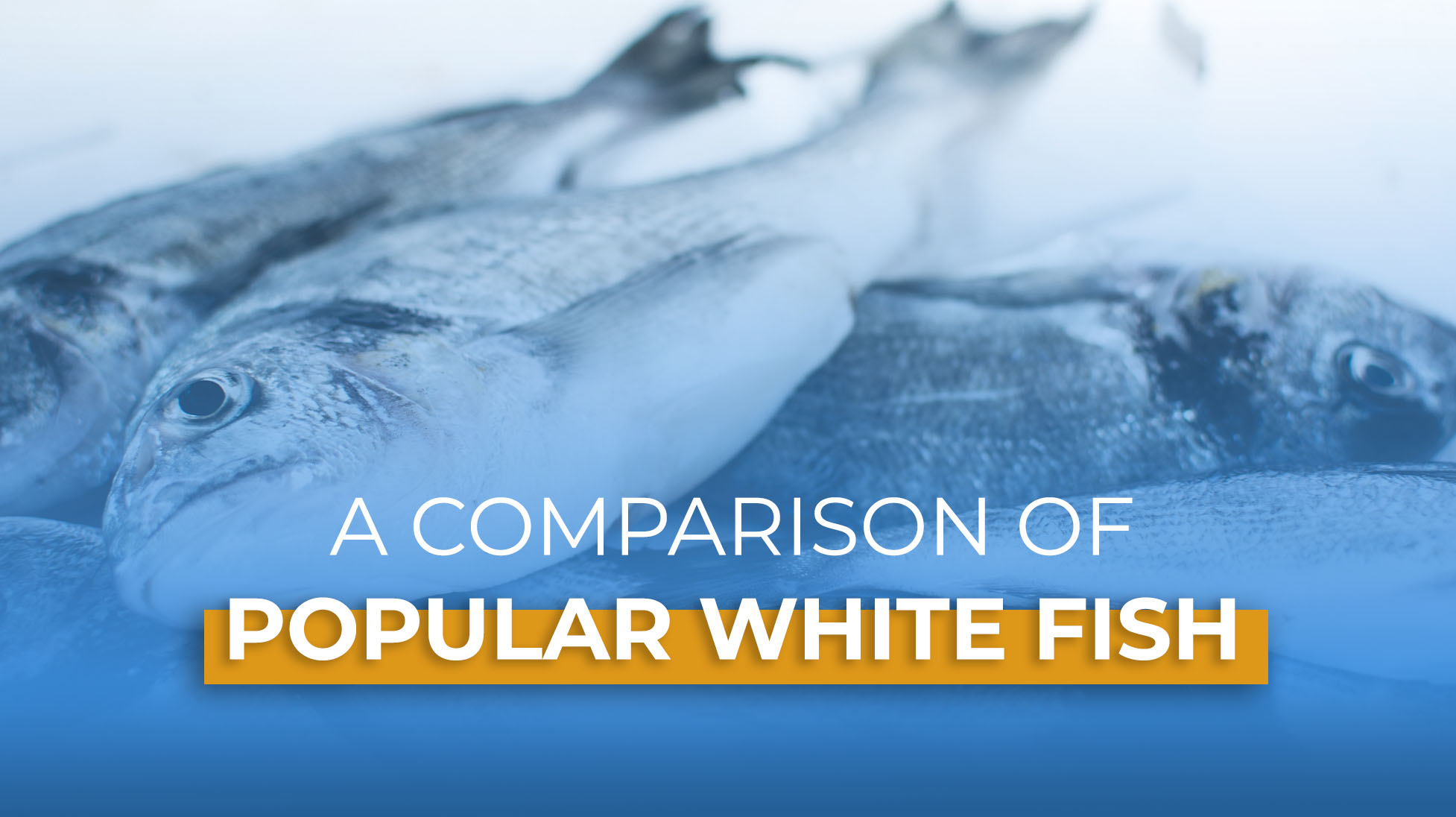 A Comparison of Popular White Fish – U.S. Farmed-Raised Catfish Remains A Family Favorite