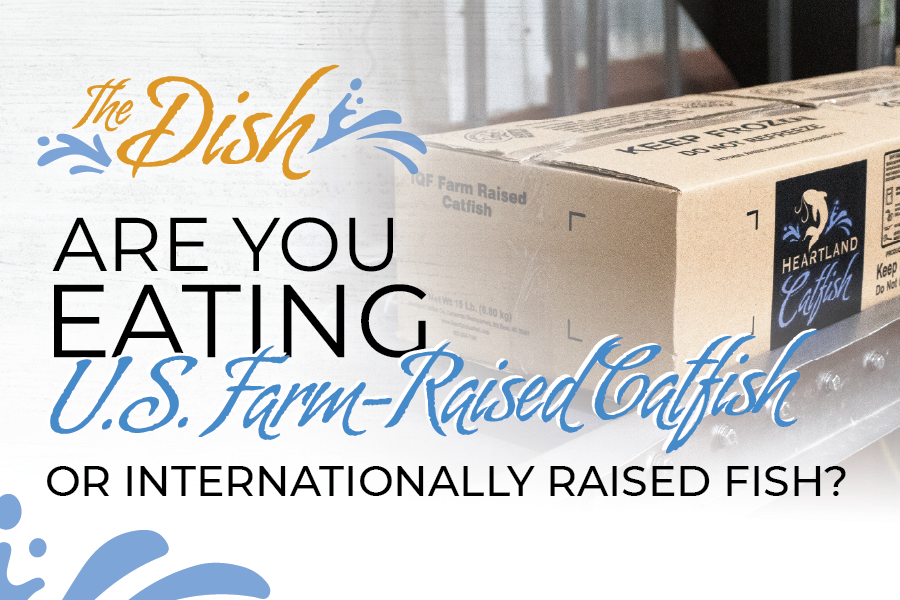 Are you eating U.S. Farm-Raised Catfish or Internationally Raised Fish?