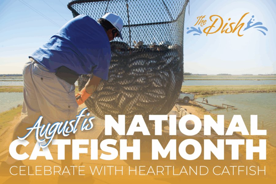 August is National Catfish Month: Celebrate with Heartland Catfish!