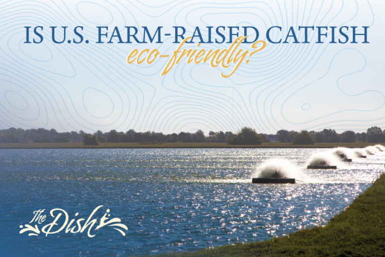 Is U.S. Farm-raised catfish eco-friendly?