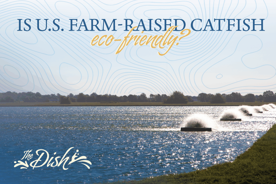 Is U.S. Farm-Raised Catfish Eco-Friendly?