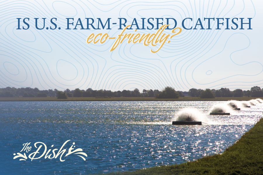 Is U.S. Farm-Raised Catfish Eco-Friendly?