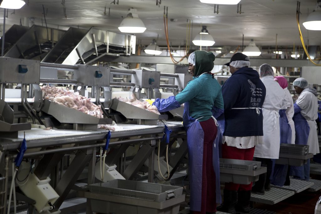 Catfish production.