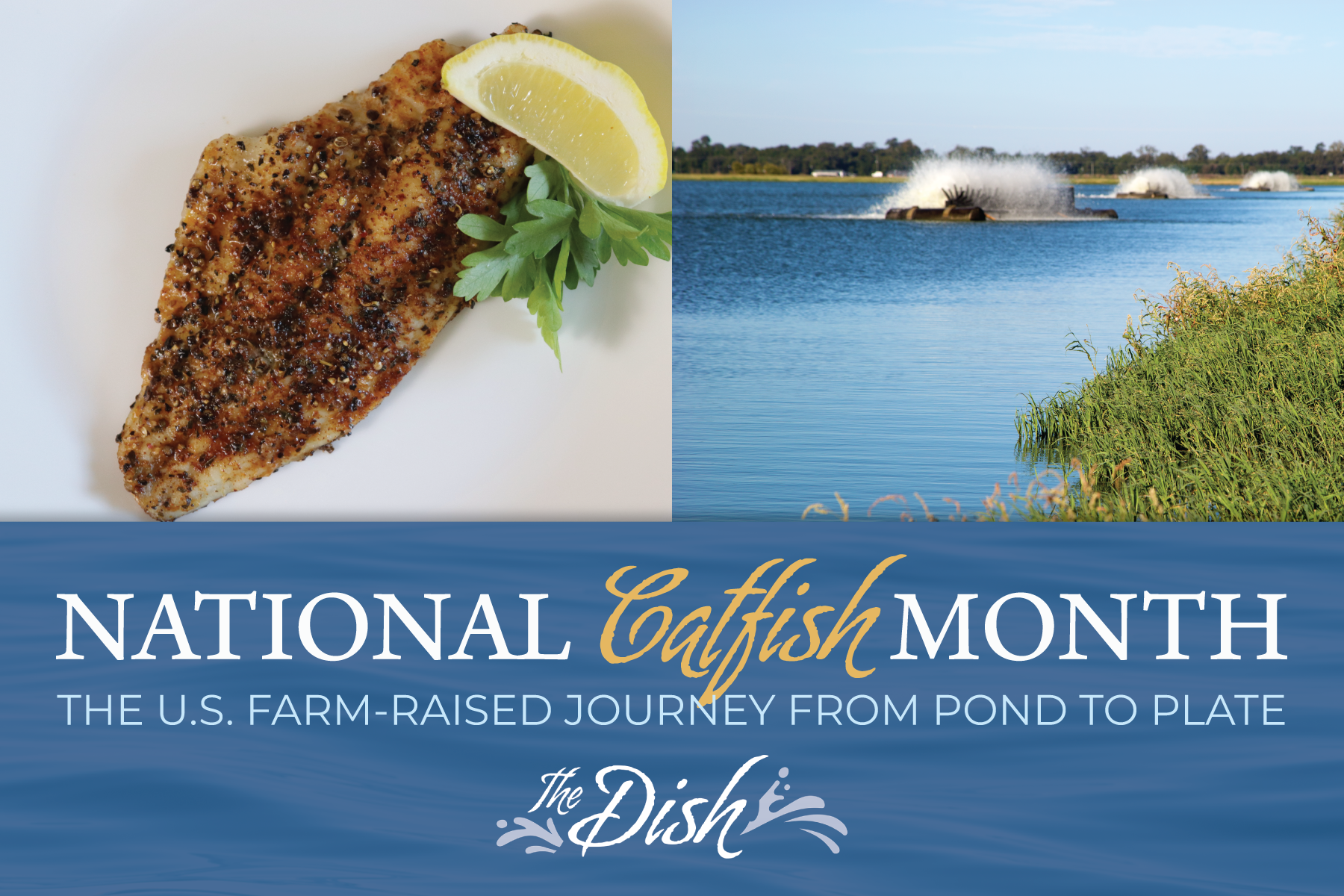 National Catfish Month: The U.S. Farm-Raised Journey from Pond to Plate, The Dish, featuring a grilled catfish fillet and an aerator spraying water over a catfish pond.